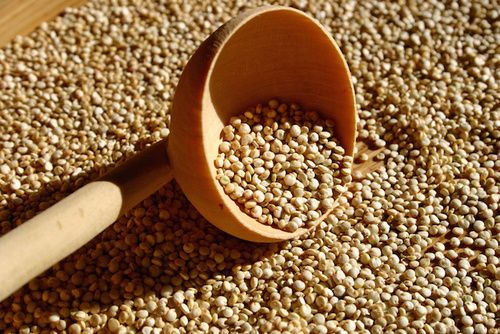 Quinoa, proprietà e benefici