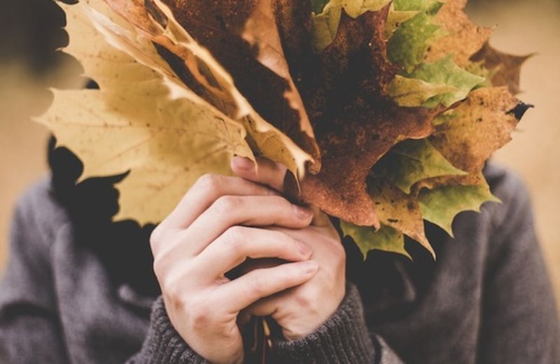 Gli integratori di rame e zinco per i capelli: quando usarli? Gli integratori di rame e zinco per i capelli: quando usarli?